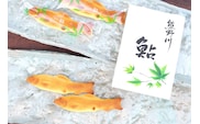 熊野川鮎 12個入り　鮎を典雅にかたちどった銘菓　詰め合わせ 焼き菓子 菓子 お菓子 ギフト【fks103A】