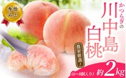 【予約受付】こだわり農家厳選 川中島白桃 和歌山産の桃 <大玉特秀品> 約2kg（6個~9個） 2025年8月初旬頃～2025年8月末頃に順次発送予定（お届け日指定不可）/ 桃 もも 川中島 白桃 フルーツ 果物 くだもの 【kgr011】