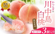 【予約受付】こだわり農家厳選 川中島白桃 和歌山産の桃 <大玉特秀品> 嬉しい食べきり容量 3玉 2025年8月初旬頃～2025年8月末頃に順次発送予定（お届け日指定不可）/ 桃 もも 川中島 白桃 フルーツ 果物 くだもの 【kgr012】【kgr012】