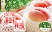 【予約受付】桃の王様 白鳳 <特秀品> うれしい食べきり容量 3玉 2025年6月末頃～2025年7月末頃に順次発送予定（お届け日指定不可）/ 桃 もも 白鳳 フルーツ 果物 くだもの 【kgr010】【kgr010】