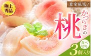 【先行予約】【厳選】あふれる果汁で口いっぱい！ 食べきりサイズ 和歌山県産 桃 3玉 2025年6月末頃～2025年8月末頃に順次発送予定（お届け日指定不可）/ 和歌山 桃 モモ フルーツ もも 白桃 果物 くだもの【kgr002】【kgr002】