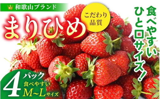 【先行予約】まりひめイチゴ4パック 食べやすいひと口サイズ M～L（15粒～20粒入×4パック）【2026年1月初旬～3月下旬頃に順次発送】（お届け日指定不可）/ いちご 苺 まりひめ 和歌山 フルーツ【kgr034】