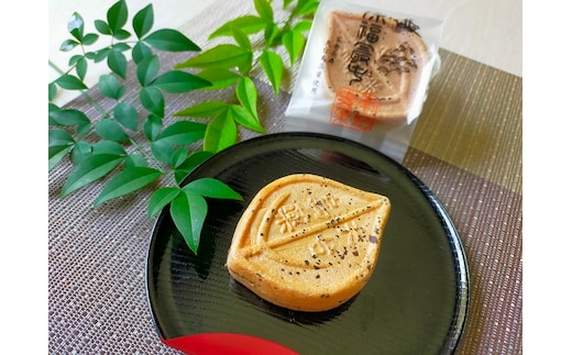 天台鳥薬葉使用 徐福最中 10個【kht003A】