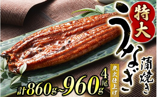 うなぎ蒲焼 4尾 計計約860g～960g （タレ・山椒付き） 1尾約215g～240gのビッグサイズ 【通常発送】【nks702B-y】