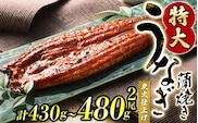 1尾約215g～240gのビッグサイズ うなぎ蒲焼 2尾 計約430g～480g （タレ・山椒付き） 【1ヶ月以内に発送】【nks700B-y】