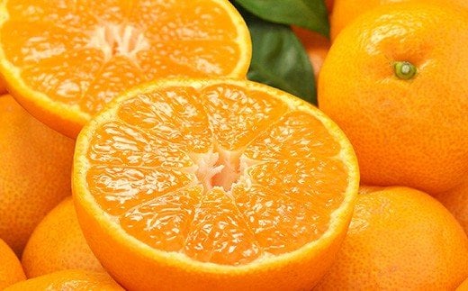 【予約受付】田村みかん 秀品5キロ/サイズおまかせ◆2025年11月下旬～2026年1月中旬頃に順次発送(お届け日指定不可) 紀伊国屋文左衛門本舗【sgtb301B】