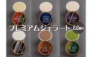 プレミアムジェラート 詰め合わせセット（6種類×2個） アイスクリームセット 100mlカップ ゆあさジェラートラボラトリー【sgtb701】