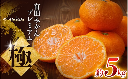  ＼光センサー選別／極 有田みかんプレミアム 約5kg【光センサー 高糖度選別品】2S～Lサイズ 有機質肥料100% ※2025年11月下旬頃～2026年1月上旬頃に順次発送予定 ※北海道・沖縄・離島への配送不可 【nuk155F】