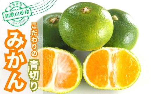 【先行予約】【農家直送】こだわりの青切りみかん 約10kg 有機質肥料100% サイズ混合 【2026年9月下旬～10月頃より順次発送（お届け日指定不可）】【nuk108F】