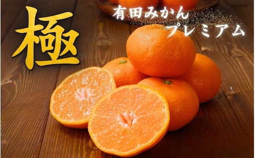 【先行予約】 極 有田みかんプレミアム 約5kg【光センサー 高糖度選別品】2S～Lサイズ 有機質肥料100% 【2026年11月下旬～2027年1月上旬頃より順次発送（お届け日指定不可）】 ※北海道・沖縄・離島への配送不可 【nuk155G】