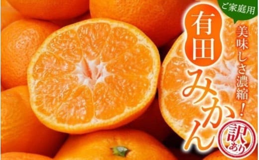 【訳あり】農家直送 有田みかん 約10kg ご家庭用 サイズ混合 【2026年11月中旬～2027年1月より順次発送予定（お届け日指定不可）】※北海道・沖縄・離島への配送不可 訳ありみかん 温州みかん サイズ混合 訳ありみかん 温州みかん 有機質肥料100% ふるさと納税 柑橘 有田 産地直送【nuk138H】