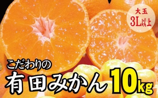 【農家直送】有田みかん 約10kg 大玉3L以上 有機質肥料100% ※2025年12月初旬～12月末に順次発送(お届け日指定不可)【nuk139E】