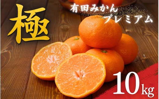 ＼光センサー選別／極 有田みかんプレミアム 10kg【光センサー 高糖度選別品】2S～Lサイズ 有機質肥料100% ※2025年11月下旬頃～12月下旬頃に順次発送予定 ※北海道・沖縄・離島への配送不可 【nuk156C】
