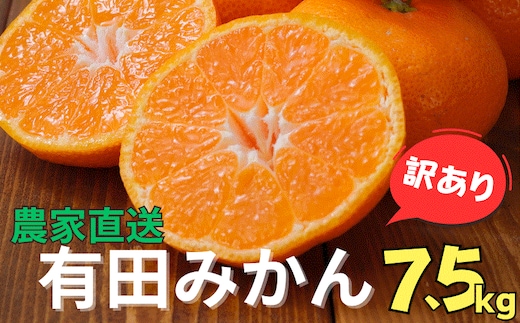 【訳あり】農家直送 有田みかん 約7.5kg ご家庭用 サイズ混合 ※2025年11月中旬より順次発送予定（お届け日指定不可）※北海道・沖縄・離島への配送不可 訳ありみかん みかん ミカン 蜜柑 柑橘 フルーツ 果物 くだもの 温州みかんサイズ混合 訳ありみかん 温州みかん 有機質肥料100% ふるさと納税 柑橘 有田 産地直送【nuk157D】