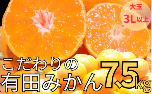 【農家直送】有田みかん 約7.5kg 大玉3L以上 有機質肥料100% ※2025年12月初旬～1月中旬に順次発送(お届け日指定不可)/みかん ミカン 温州みかん 柑橘 有田 和歌山 産地直送【nuk158C】