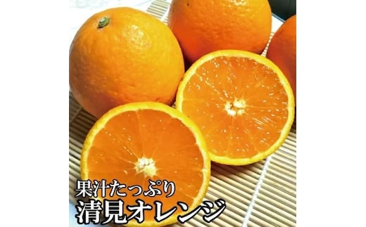 ＼光センサー選別／ 【農家直送】果汁たっぷり！清見オレンジ 約5kg 有機質肥料100% サイズ混合 ※2026年3月上旬より順次発送予定（お届け日指定不可）【nuk112B】