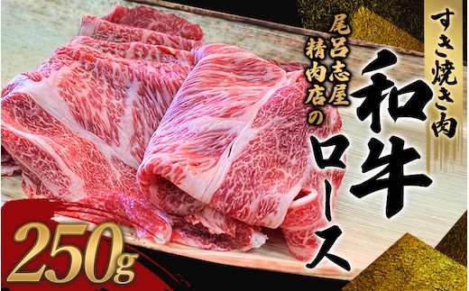 尾呂志屋精肉店の和牛ロース すき焼き用 250g 【1か月以内に順次発送】 / 和牛 すきやき すき焼き 牛肉 牛 精肉 【ors008A】