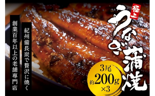 極上！国産うなぎ蒲焼 3尾（約200g×3） 創業100年以上続く老舗 紀州備長炭でじっくり焼き上げた専門店の味 （タレ・山椒付き）/ うなぎ ウナギ 鰻 蒲焼 国産 ふるさと納税【skr003A】