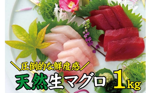 天然 キハダ（もしくはメバチ） 生まぐろ たっぷり1kg 鮮度抜群の生まぐろをお届けします / 生鮪 鮪 マグロ 生まぐろ キハダマグロ 刺身【tka014A】