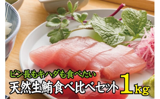 天然生まぐろ食べ比べセット 1kg キハダ（もしくはメバチ）＋びん長まぐろのセット / 生鮪 鮪 マグロ 生まぐろ キハダマグロ ビンチョウマグロ 刺身【tka016A】