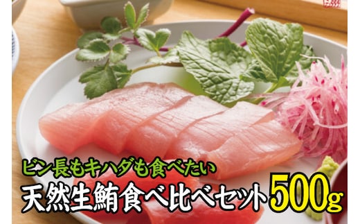 天然生まぐろ食べ比べセット 500g キハダ（もしくはメバチ）＋びん長まぐろのセット / 生鮪 鮪 マグロ 生まぐろ キハダマグロ ビンチョウマグロ 刺身【tka019A】