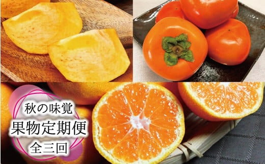 【全3回定期便】秋の味覚 果物定期便 柿・みかん 旬のフルーツを毎月お届け♪【tkb130】