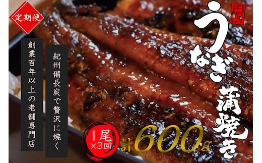 【全3回定期便】極上！国産うなぎ蒲焼 1尾×3回 計3尾 約600g 創業100年以上続く老舗 紀州備長炭でじっくり焼き上げた専門店の味 （タレ・山椒付き）/ うなぎ ウナギ 鰻 蒲焼 国産 ふるさと納税【tkb315】
