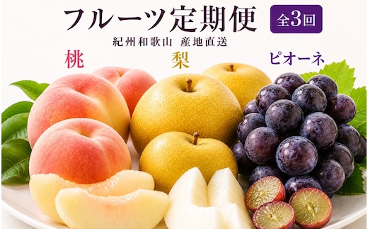 【全3回】紀州和歌山産旬のフルーツ定期便 (桃・梨・ピオーネ) / フルーツ 柑橘 和歌山 もも モモ 梨 なし ぶどう 葡萄 シャインマスカット ピオーネ 紫苑 【tkb424】 