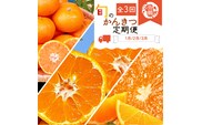 【3か月定期便】人気のみかんを集めた！旬の柑橘定期便  田村みかん・ポンカン・清見オレンジ【tkb111】