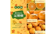 【3か月定期便】みかんの名産地和歌山発！秋のみかん定期便♪ゆら早生みかん・下津みかん・有田みかん【tkb362】