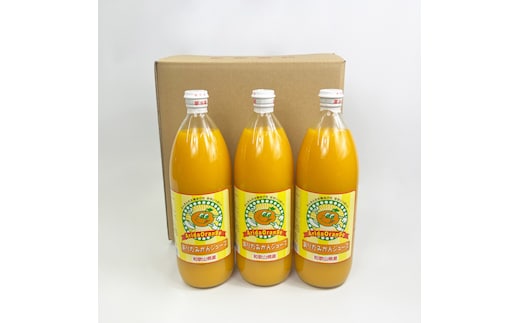 【和歌山県有田産】100%温州みかんジュース (970ml×12本セット)/ジュース みかん 【tss006A】