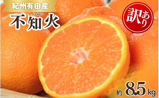 【ご家庭用】紀州有田産 不知火(しらぬひ) 約8.5kg 【予約】 訳あり ※2026年2月中旬頃～2026年3月中旬頃に順次発送予定(お届け日指定不可) 不知火 みかん ミカン 柑橘 果物 フルーツ【uot507A】