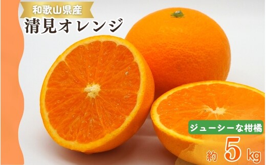 【予約】【ジューシー】清見オレンジ 5kg ※2026年4月中旬頃～2026年4月下旬頃に順次発送予定（お届け日指定不可）【uot710-2】
