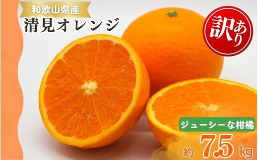 【ご家庭用訳アリ】紀州有田産 清見オレンジ 7.5kg ※※2026年3月下旬～2026年4月中旬頃に順次発送予定(お届け日指定不可)【uot730】