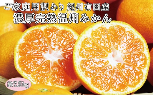 【ご家庭用訳アリ】紀州有田産濃厚完熟温州みかん 7.5kg ※2026年11月下旬頃～2027年1月下旬頃に順次発送予定(お届け日指定不可)【uot704A】