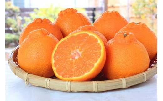 紀州有田産不知火(しらぬひ) 約5kg ※2026年2月中旬頃～2026年3月中旬頃発送【uot709A】