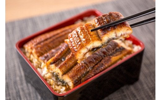 【大型サイズ】ふっくら柔らか 国産うなぎ蒲焼き 1尾 約2人前 化粧箱入/うなぎ ウナギ 鰻 うなぎ蒲焼 国産【uot714A】