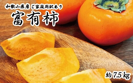 【ご家庭用わけあり】和歌山秋の味覚 富有柿 約7.5㎏ / 果物 フルーツ 柿 旬 人気 先行予約【uot719A】