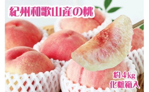 紀州和歌山産の桃 約4kg 化粧箱入※2026年6月下旬頃〜2026年8月上旬頃順次発送（お届け日指定不可）/ 先行予約 桃 もも モモ フルーツ 果物 くだもの 人気 旬 和歌山【uot723】
