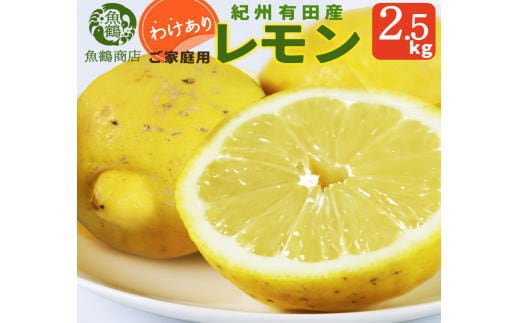 【ご家庭用訳あり】紀州有田産レモン 2.5kg【予約】※2026年3月上旬頃～2026年3月中旬頃に順次発送予定(お届け日指定不可) レモン れもん 果物 柑橘【uot777】