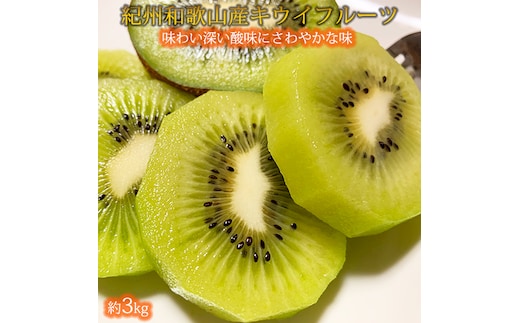 紀州かつらぎ山のキウイフルーツ約３ｋｇ ※2027年1月下旬～2月上旬頃に順次発送予定(お届け日指定不可)【uot792】