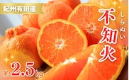 【先行予約】紀州有田産不知火(しらぬひ) 2.5kg ※2026年2月中旬頃～2026年3月中旬頃に順次発送予定（お届け日指定不可）/ みかん 不知火 和歌山 フルーツ 有田【uot794】