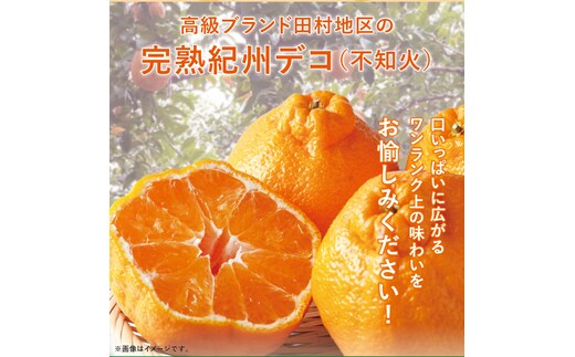 高級ブランド田村の完熟紀州デコ(不知火)約8kg＜2027年3月上旬～3月中旬頃順次発送＞【uot867A】