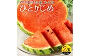 紀州和歌山産小玉スイカ「ひとりじめ」２玉【予約】※2025年6月上旬頃～6月下旬頃に順次発送予定(お届け日指定不可)【uot779】