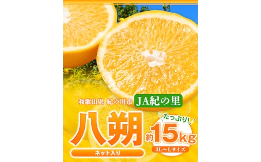 【先行予約】八朔 ネット入 約15kg 3L-Lサイズ JAわかやま 紀の里地域本部 《2026年1月上旬-3月末頃出荷》 和歌山県 紀の川市 果物 フルーツ 柑橘 はっさく---wsk_jak20_1j3m_24_22000_15kg---