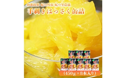 手剥き八朔缶詰(ミックス) 450g×8本入 JA紀の里農業協同組合 《90日以内に出荷予定(土日祝除く)》 和歌山県  紀の川市---wsk_jakhskc_90d_22_13000_8h--- | dショッピングふるさと納税百選