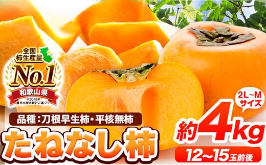 濃厚な秋のごちそう たねなし柿 (刀根早生柿/平核無柿) 約4kg(12～15玉前後)《2026年9月中旬-11月上旬頃出荷》 和歌山県 紀の川市 種なし柿 産地直送 柿 果物 フルーツ 2L～Mサイズ カキ---wfn_wlocal78_9c11j_25_10000_4kg---