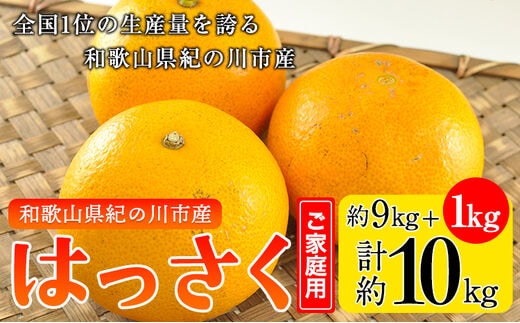 【先行予約】【訳あり/ご家庭用】八朔 9kg＋1kg 計約10kg サンファーム《2026年1月上旬-3月末頃出荷》和歌山県 紀の川市---wsk_saf9_1j3m_25_11000_10kg---