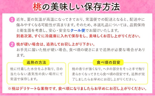 和歌山の桃 2kg 紀のファーム 《2024年6月上旬-8月中旬頃出荷》 和歌山