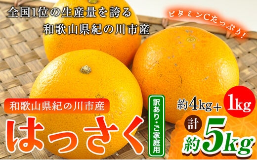 【先行予約】【訳あり/ご家庭用】はっさく 八朔 4kg＋1kg 計約5kg サンファーム《1月上旬-3月末頃より出荷予定》和歌山県 紀の川市 ご家庭用---wsk_saf8_1j3m_25_7000_5kg---